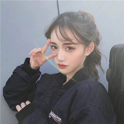 至尊游龙私服下载